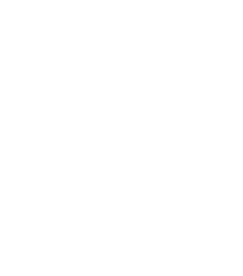 Ermax Development logo