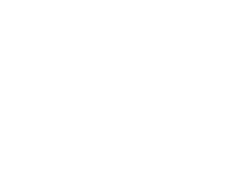 Gemini Property Developers logo