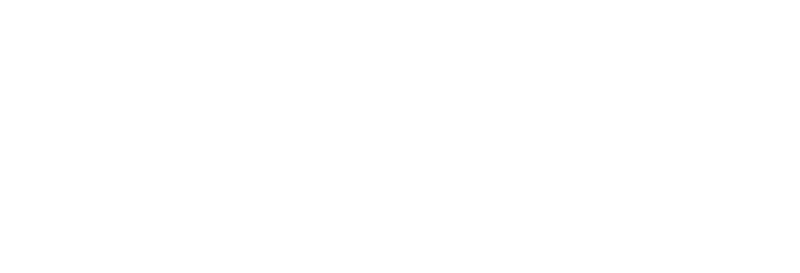 Polygon Real Estate Development logo
